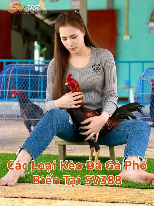 cacloaikeodagathomo Xem Đá Gà Trực Tiếp SV388 Thomo C1 C2 Uy Tín 2026 Các Loại Kèo Đá Gà Phổ Biến Tại SV388