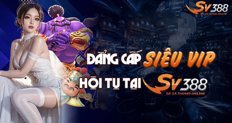 dagavipsv388 Xem Đá Gà Trực Tiếp SV388 Thomo C1 C2 Uy Tín 2026 Ưu Đãi Đặc Biệt Dành Riêng Cho Thành Viên VIP SV388