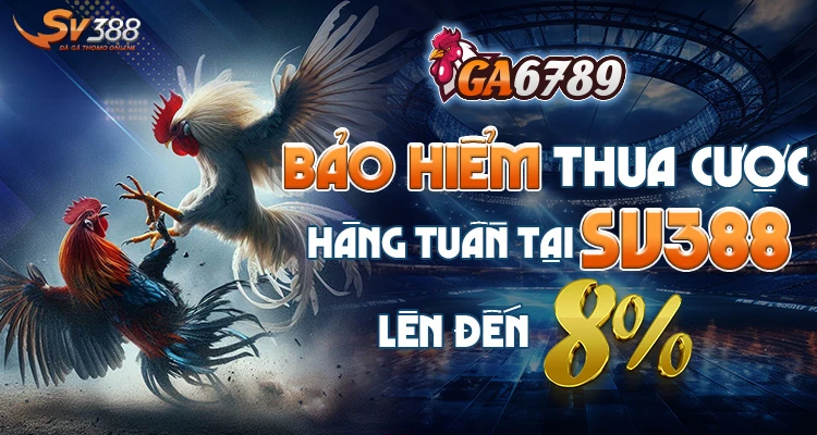 hoantiencuocthuadagasv388 Xem Đá Gà Trực Tiếp SV388 Thomo C1 C2 Uy Tín 2026 Khuyến Mãi Hoàn Tiền Đá Gà Hàng Ngày