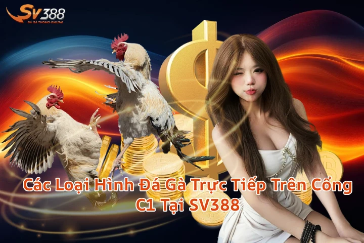 loaihinhdagatructiepc1 Xem Đá Gà Trực Tiếp SV388 Thomo C1 C2 Uy Tín 2026 Các Loại Hình Đá Gà Trực Tiếp Trên Cổng C1 Tại SV388