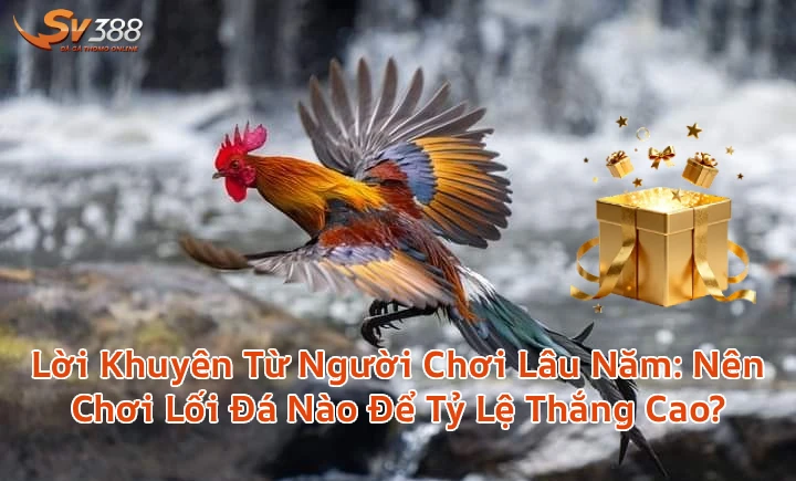 loikhuyenchonloidagathomo Xem Đá Gà Trực Tiếp SV388 Thomo C1 C2 Uy Tín 2026 Lời Khuyên Từ Người Chơi Lâu Năm Nên Chơi Lối Đá Nào Để Tỷ Lệ Thắng Cao