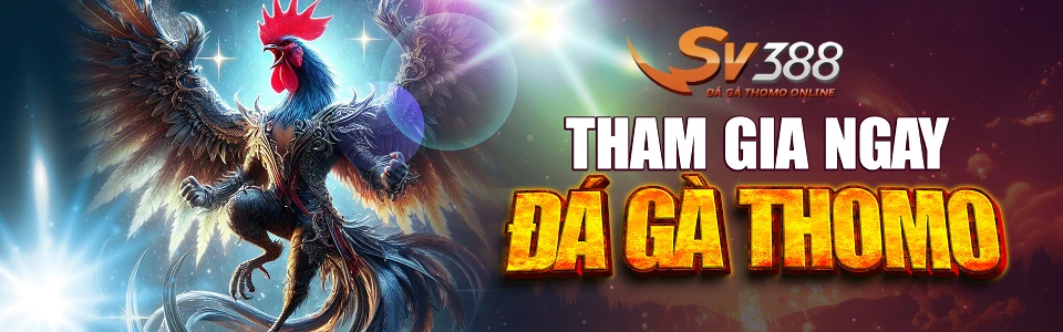 nhacaisv388dagathomo Xem Đá Gà Trực Tiếp SV388 Thomo C1 C2 Uy Tín 2026 Giới Thiệu Tổng Quan Về Thương Hiệu SV388