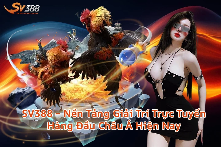 sv388gioithieumain Xem Đá Gà Trực Tiếp SV388 Thomo C1 C2 Uy Tín 2026 SV388 Nền Tảng Giải Trí Trực Tuyến Hàng Đầu Châu Á Năm 2025