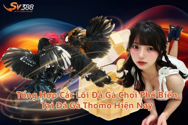 Tổng Hợp Các Lối Đá Gà Chọi Phổ Biến Tại Đá Gà Thomo Hiện Nay